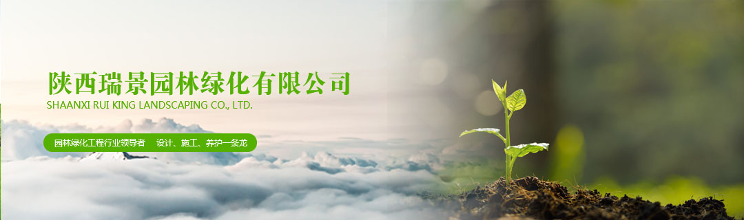 關(guān)于我們